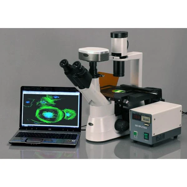 AmScope IN300 Series Inverted Epi-fluorescence Trinocular Compound Microscope - Image 2