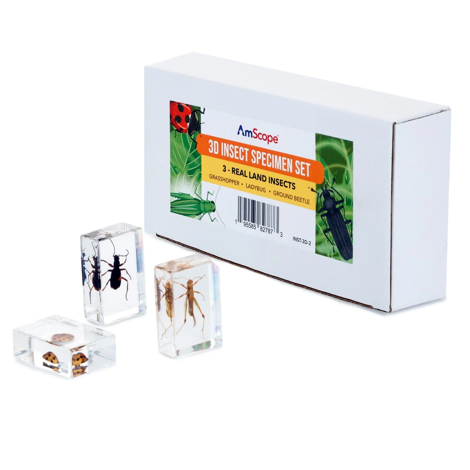 AmScope 3D Real Insect and Arachnid Specimen Kit