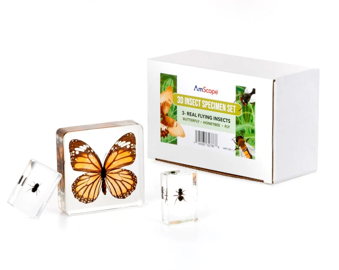 AmScope 3D Real Insect and Arachnid Specimen Kit - Image 2