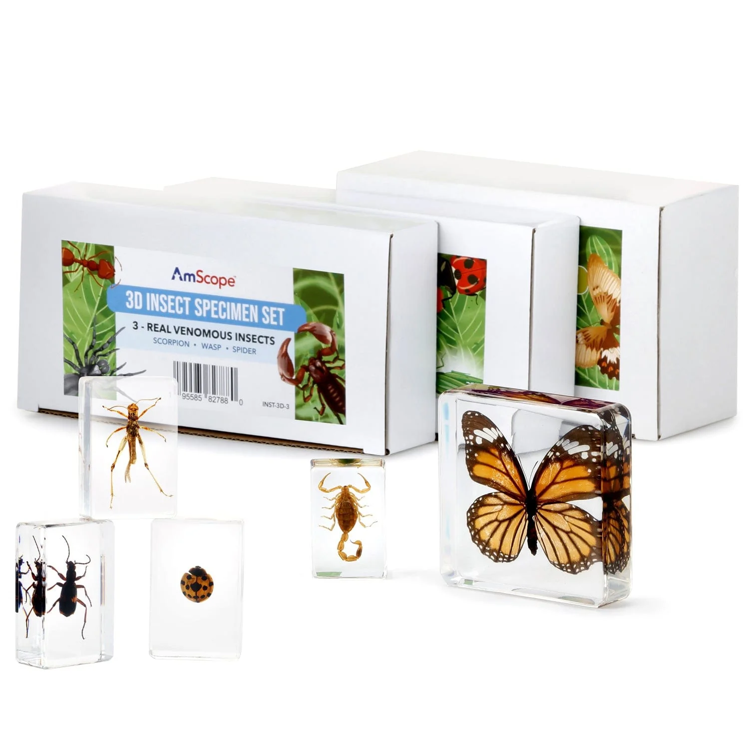 AmScope 3D Real Insect and Arachnid Specimen Kit - Image 4