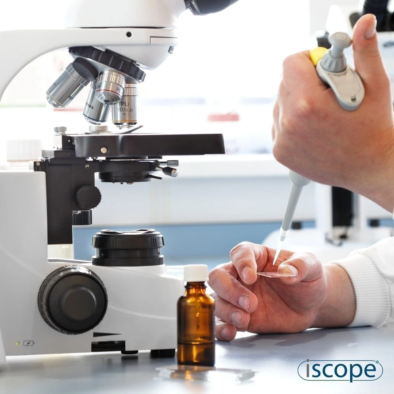 Euromex iScope Binocular Compound Microscope with Plan IOS Objectives - Image 4