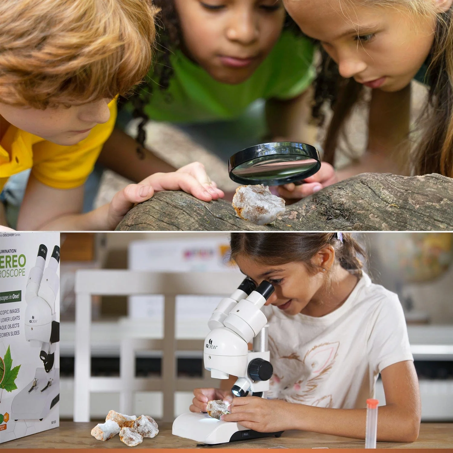 Amscope KT-GEO Microscope for Kids Science Education, Lab Instrument - Image 6