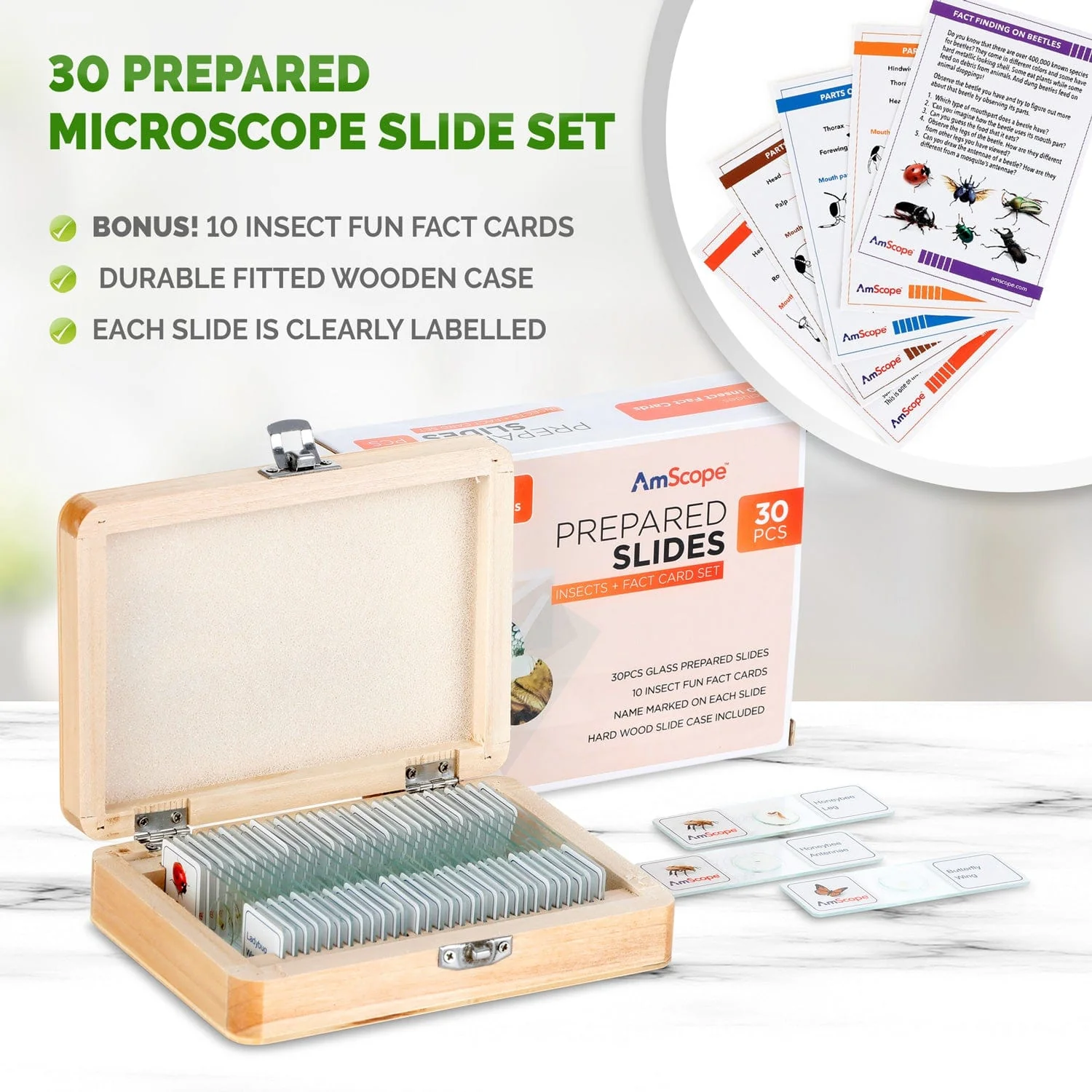 AmScope Kid's Genuine Insect Explorer Series Set featuring Deluxe All-In-One Stereo Microscope, Ultimate Insect Exploration Set and more - Image 4