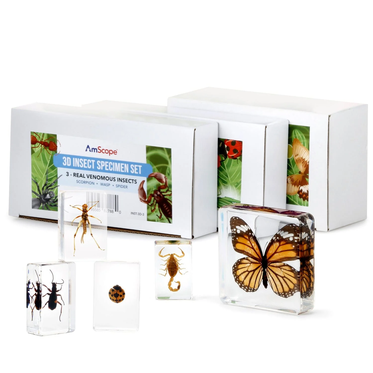 AmScope Kid's Genuine Insect Explorer Series Set featuring Deluxe All-In-One Stereo Microscope, Ultimate Insect Exploration Set and more - Image 5