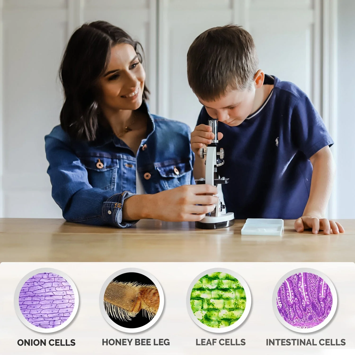 Amscope M30-ABS-KT2-W Monocular Compound Microscope for Kids – Up to 1200X LED Illumination STEM Education Microscopes, Student Lab Microscopes, Biological Science Microscopes - Image 6