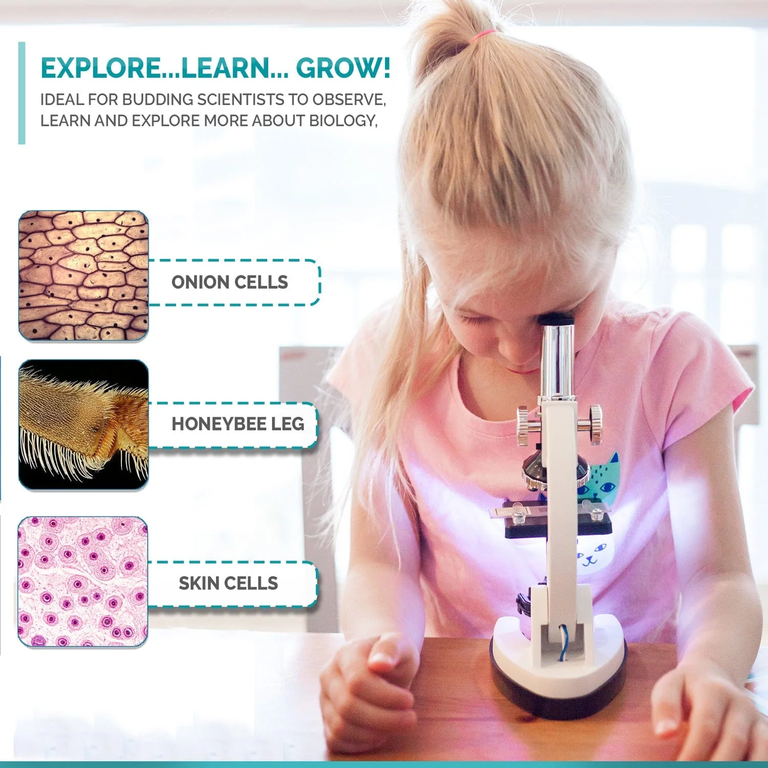 Amscope M30-ABS-KT2-W-TKVB1 Microscope for Kids – Up to 1200X LED Illumination STEM Education Microscopes, Student Lab Microscopes, Biological Science Microscopes - Image 6