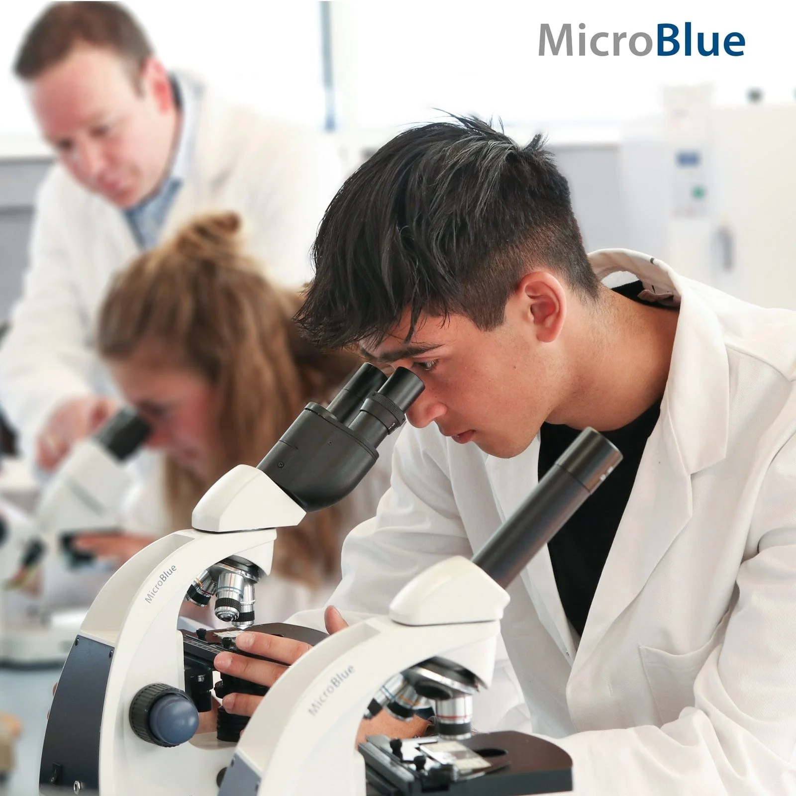 Euromex MicroBlue Series High-Quality Entry-Level Portable Binocular Compound Microscope - Image 4