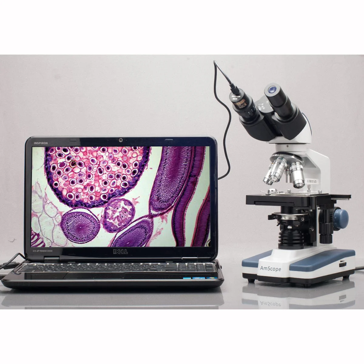 AmScope MD Series 1.0MP USB 2.0 Color CMOS Digital Eyepiece Microscope Camera + Optional Calibration Slide - Image 3