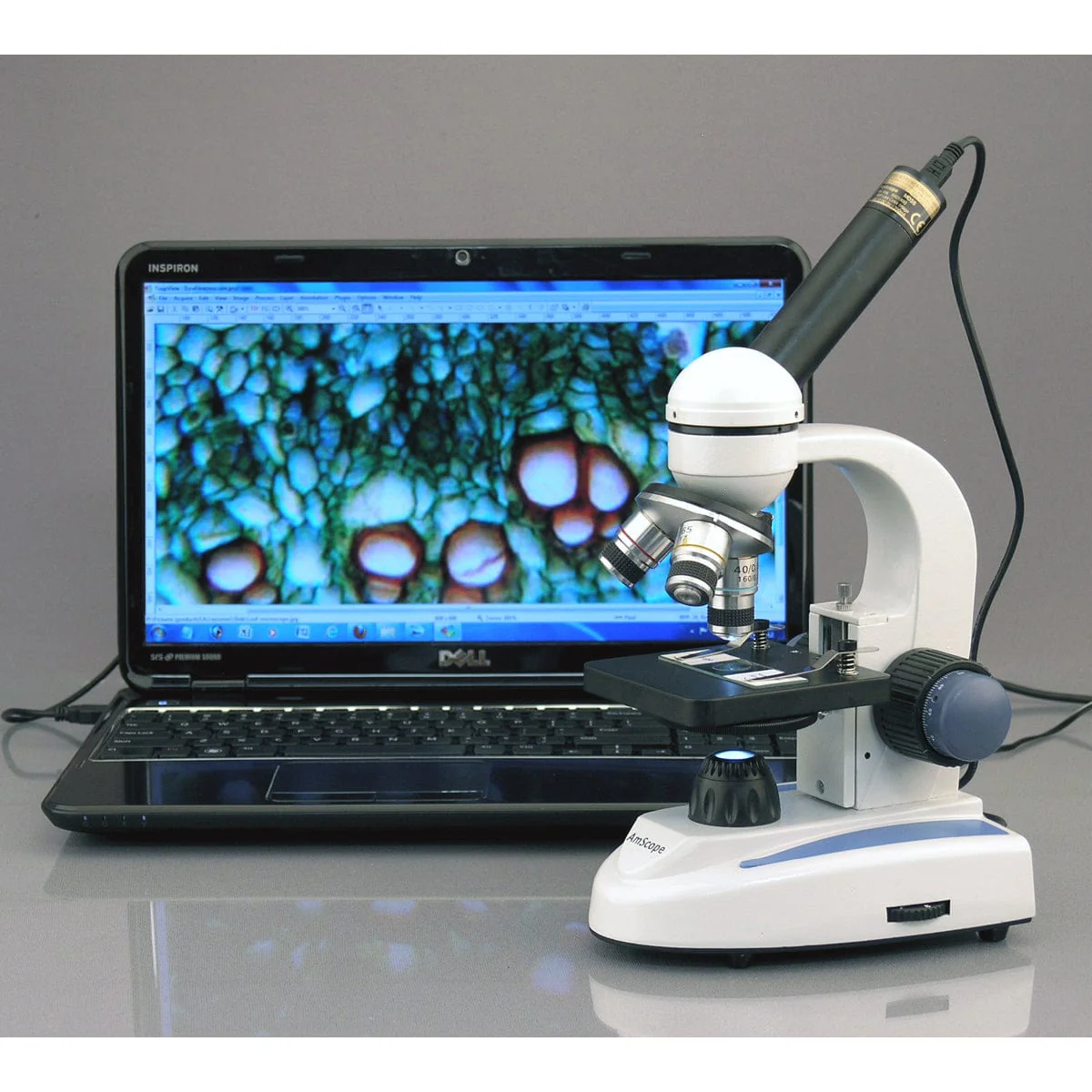 AmScope MD Series 1.0MP USB 2.0 Color CMOS Digital Eyepiece Microscope Camera + Optional Calibration Slide - Image 4