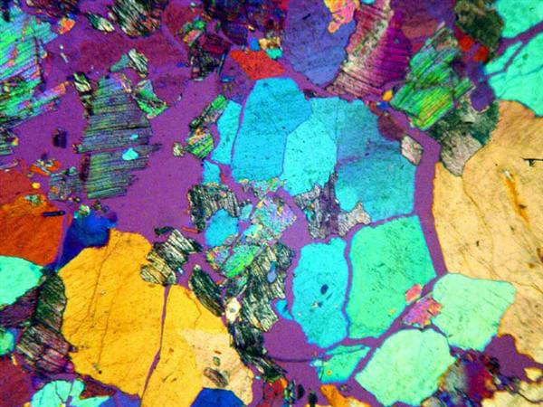 AmScope ME520 Series Infinity-Corrected Darkfield Metallurgical Trinocular Compound Microscope with Polarization and Optional Digital Camera - Image 12