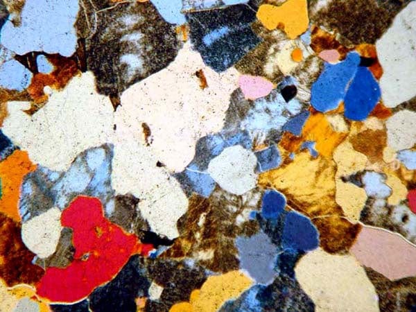 AmScope PZ620 Series Dual-illumination Polarizing Trinocular Compound Microscope - Image 6