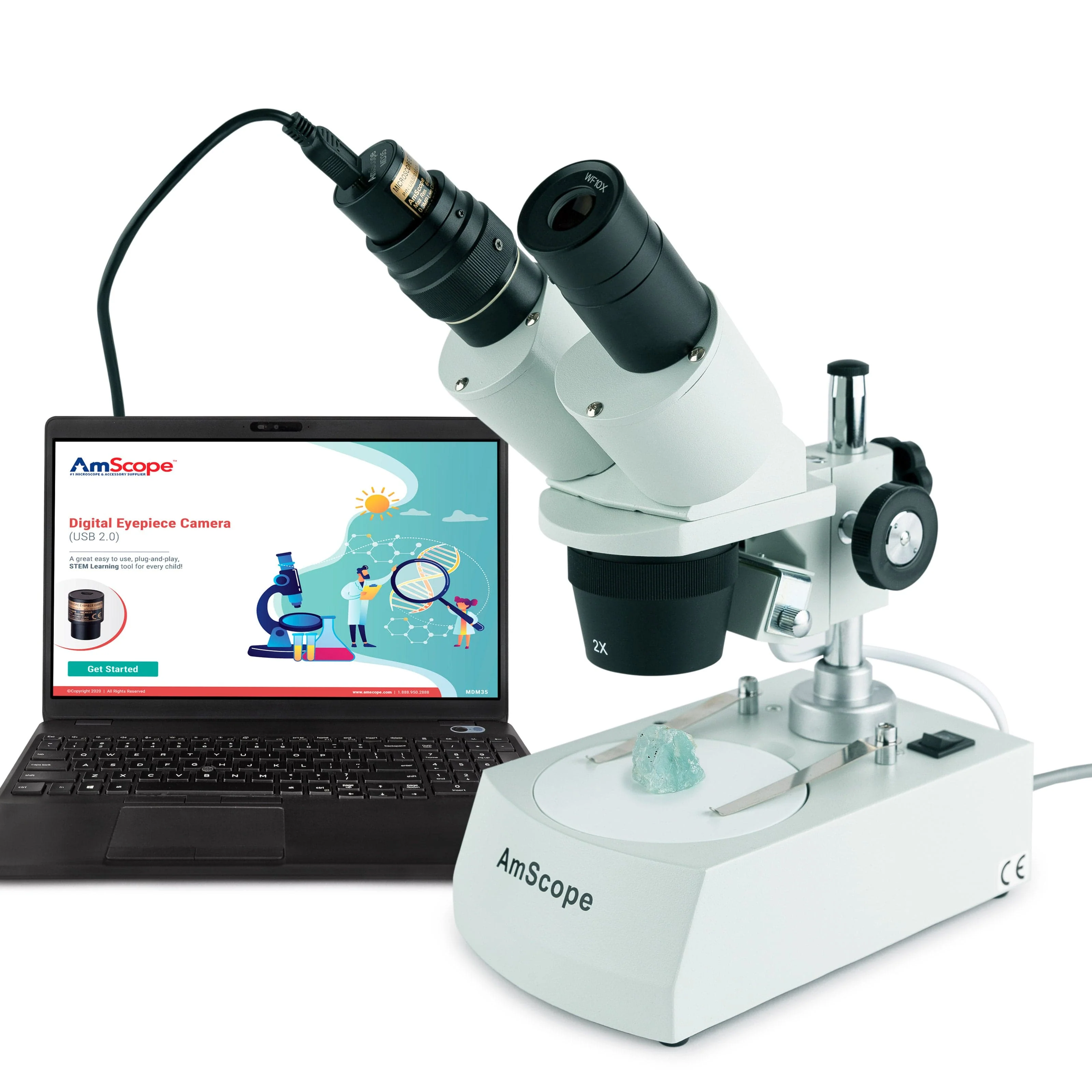 AmScope SE306 Series Student Stereo Microscope 20X-40X Magnification with Premium 9pc 3D Insect Specimen Kit, Nat Geo Insect Book and Optional Digital Camera - Image 4