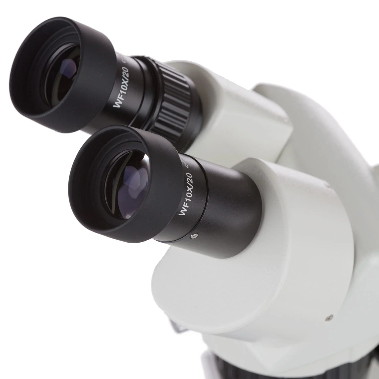 AmScope Super Widefield Binocular Stereo Microscope 20X-40X Magnification with Top & Bottom Halogen Lights on Pillar Stand - Image 2