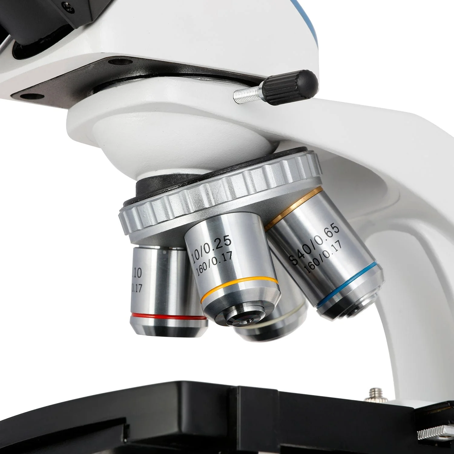 AmScope T250 Series Compact Student and Professional LED Siedentopf Trinocular Compound Microscope with 3D Mechanical Stage and Optional Digital Camera - Image 11