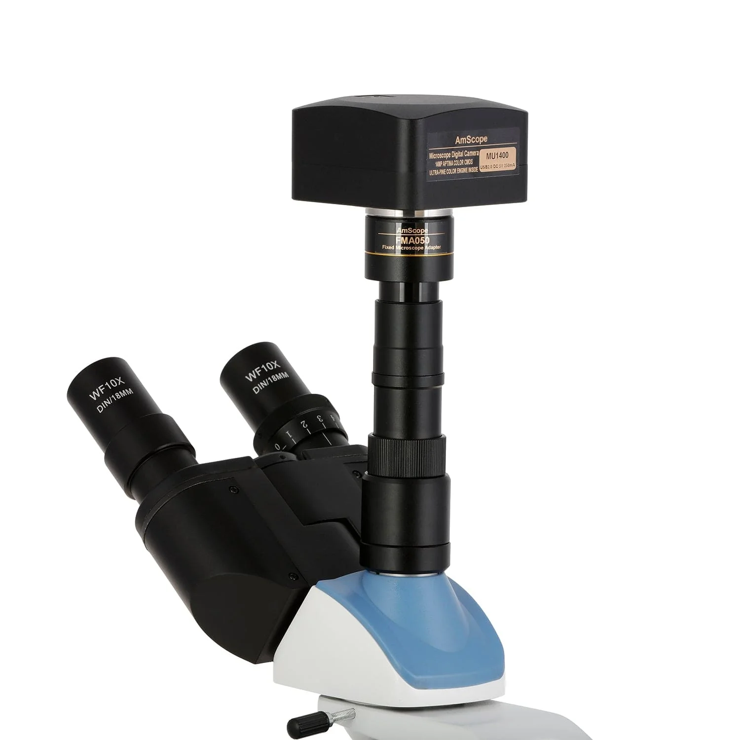 AmScope T250 Series Compact Student and Professional LED Siedentopf Trinocular Compound Microscope with 3D Mechanical Stage and Optional Digital Camera - Image 6