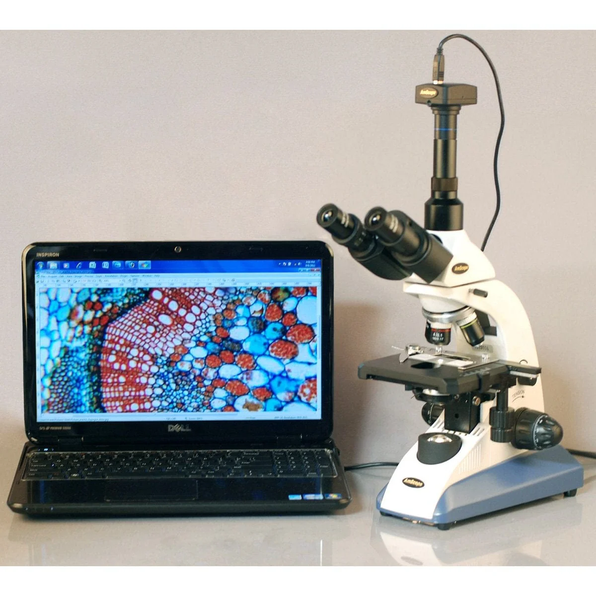 AmScope T520 Series Biological Trinocular Compound Microscope with 20W Halogen, 3D Mechanical Stage and Optional Digital Camera - Image 10
