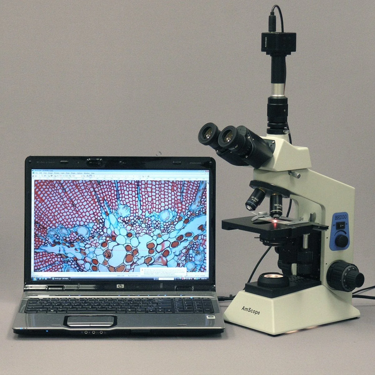 AmScope T580 Series Biological Research Grade Simul-Focal Trinocular Compound Microscope with 20W Halogen, 3D Mechanical Stage and Optional Digital Camera - Image 13