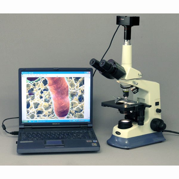 AmScope T590 Series Darkfield Trinocular Compound Microscope with 20W Halogen and Optional Digital Camera - Image 8