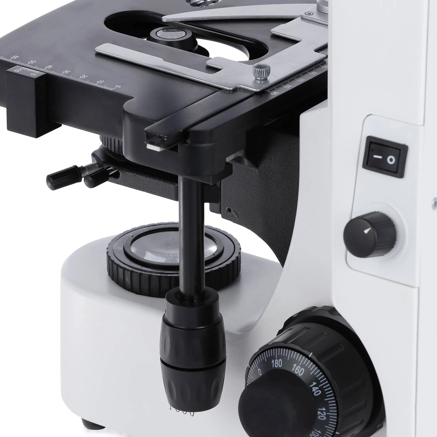 AmScope T660 Series Professional Biological Trinocular Compound Microscope with 20W Halogen Kohler Illumination, 3D Mechanical Stage and Optional Digital Camera - Image 12