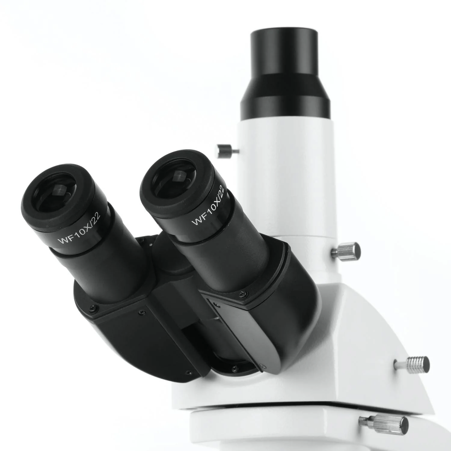 AmScope T670 Series Infinity-corrected Darkfield Trinocular Compound Microscope with LED Koehler Illumination, Quintuple Nosepiece and Optional Digital Camera - Image 7