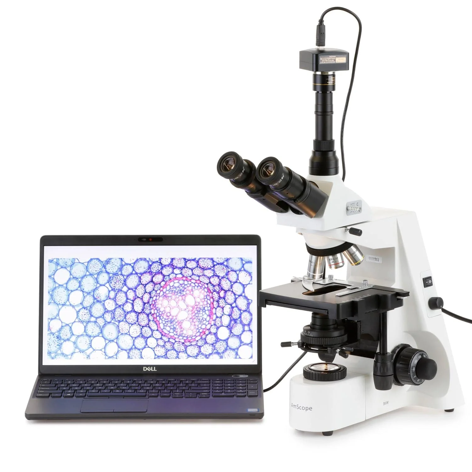 AmScope T690 Series Trinocular Compound Microscope with 20W Halogen Kohler Illumination Infinity-Corrected Plan Phase-Contrast, Turret Condenser, 3D mechanical Stage and Optional Digital Camera - Image 10