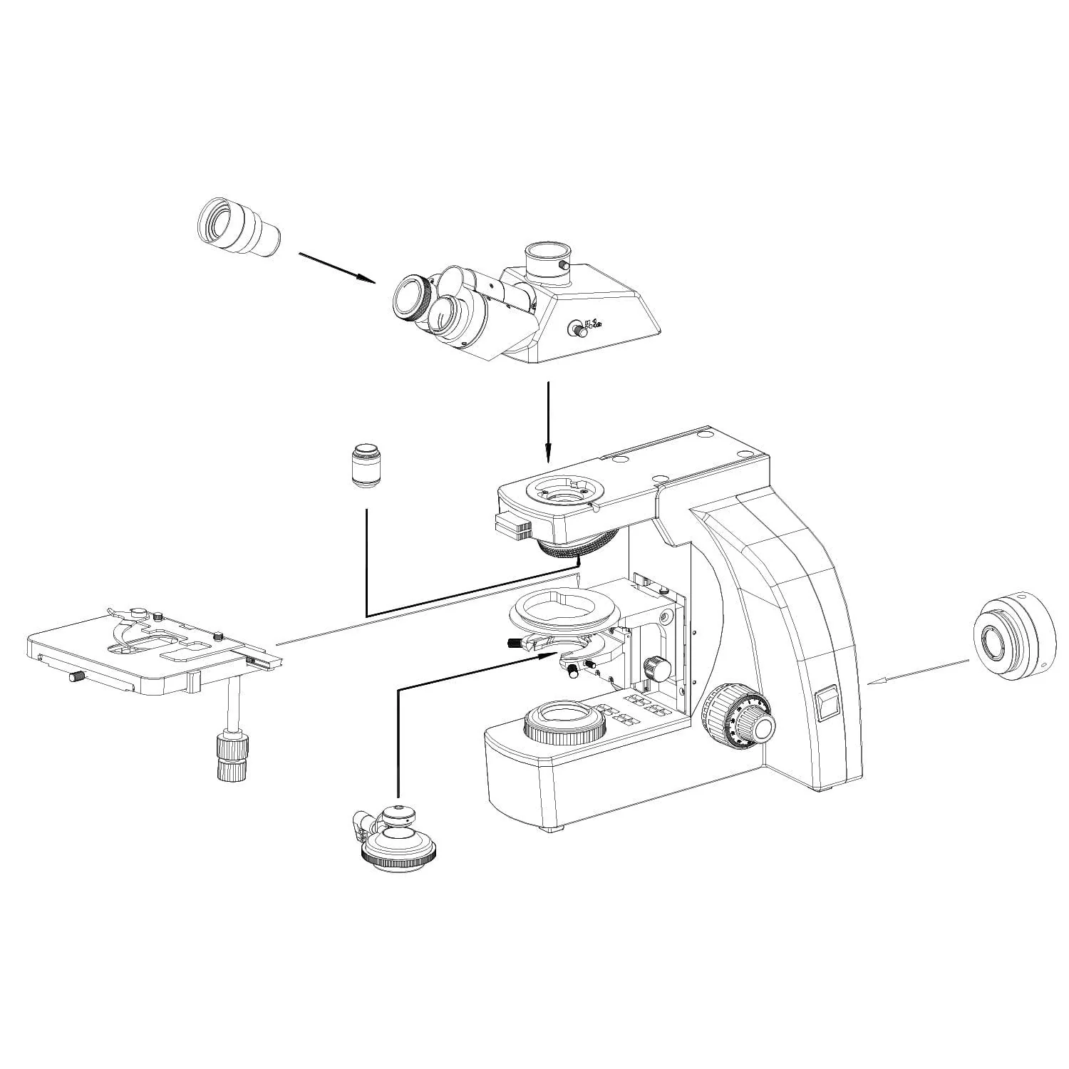 AmScope T800 Series Dual Illumination Infinity-Corrected Plan 3W LED Trinocular Compound Microscope with Optional Actively Cooled Digital Camera and 3D mechanical Stage - Image 3