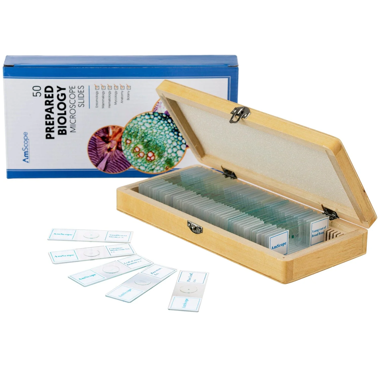 AmScope B110 Series Premium Student Lab Binocular Compound Microscope Bundles: 40X-1000X dual LED, Ergonomic, with Digital Camera, Tweezers, and Prepared Microscope Slide Set - Image 10