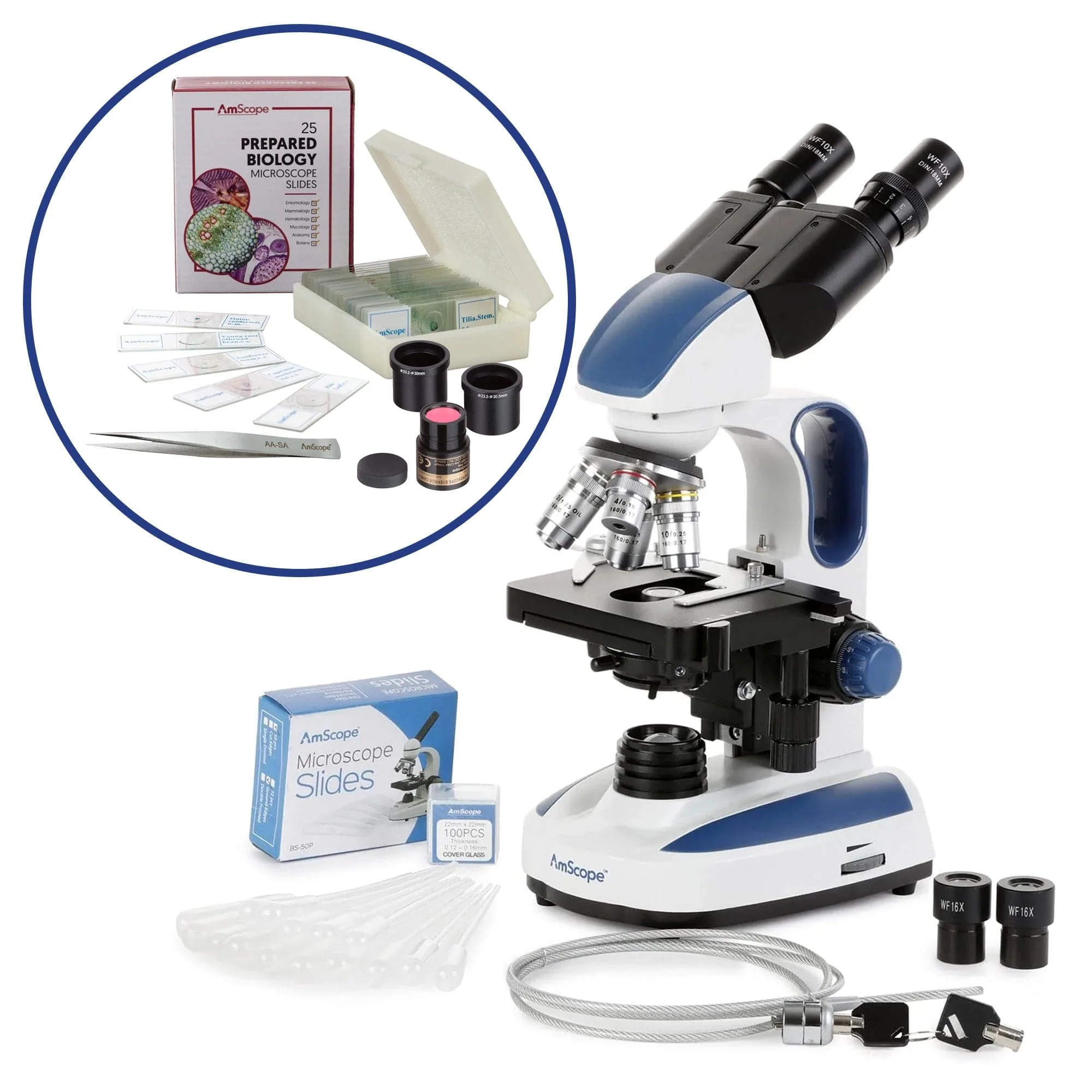 AmScope B270 Series Binocular Compound Microscope Premium Student Bundles: 40X-2500X Magnification LED with 3D Stage, C-mount Microscope Camera, Blank Slides and Cover Slips, Pipettes, 6-Piece Tweezers Set, Safety Lock, and more - Image 3