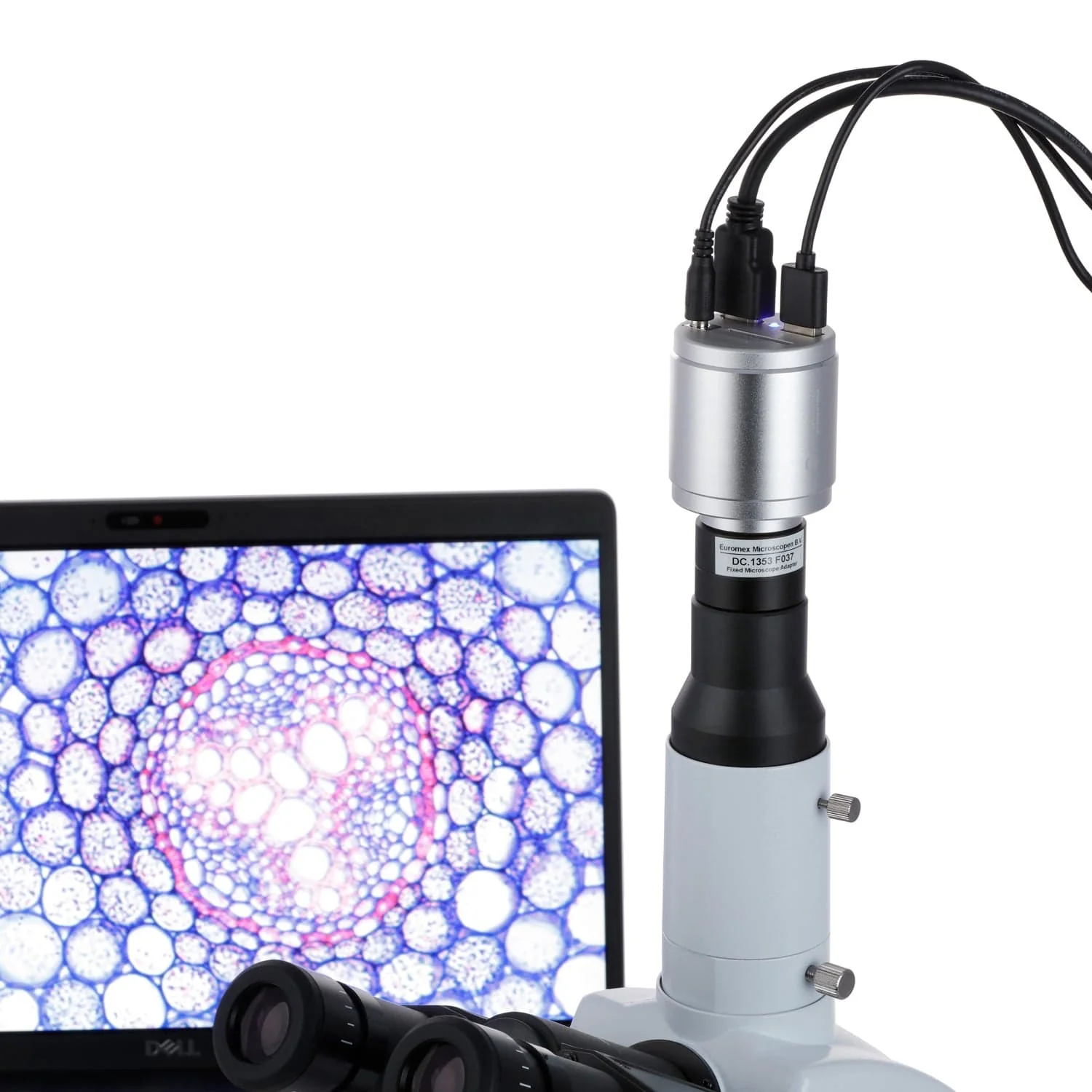 Euromex VC Series HD-Mini HD1080p 2.0MP Color Camera - 1/2.8" Aptina CMOS Sensor with HDMI and USB-2 interfaces - Image 4