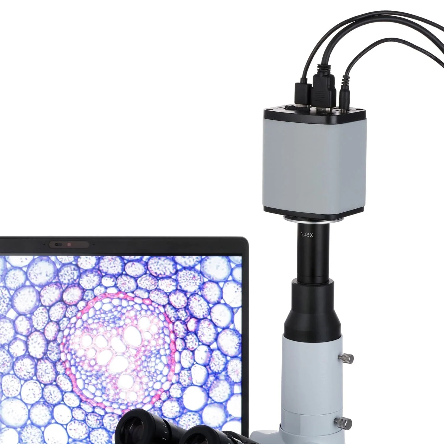 Euromex VC Series HD-Lite HD1080p 5.0MP Color Camera - 1/2.5" Aptina CMOS Sensor with HDMI and USB-2 interfaces - Image 4
