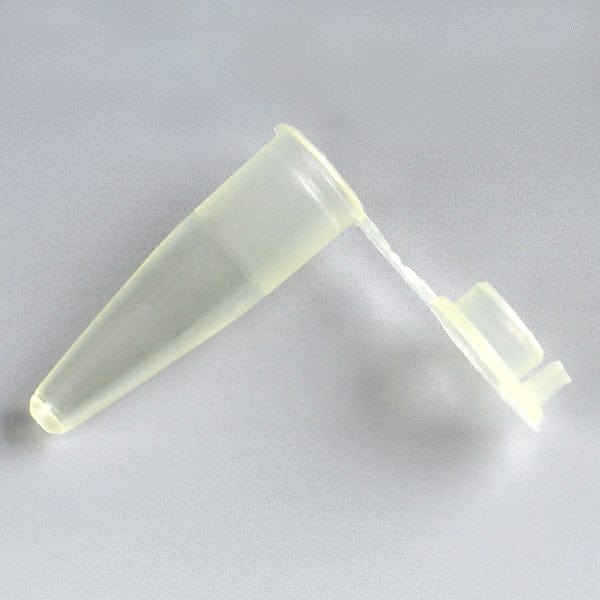 Thin Wall PCR Tube with Attached Dome Cap, Blue - Image 10
