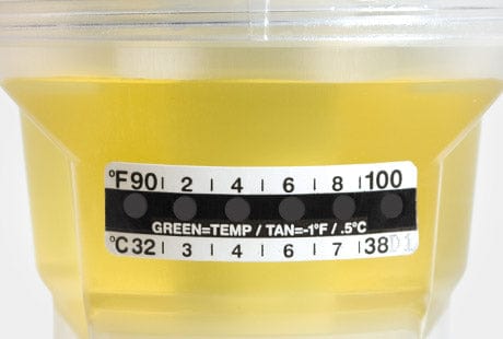 Globe Scientific Thermometer Strips, Graduated in both Fahrenheit (90-100°) and Celsius (32-38°)