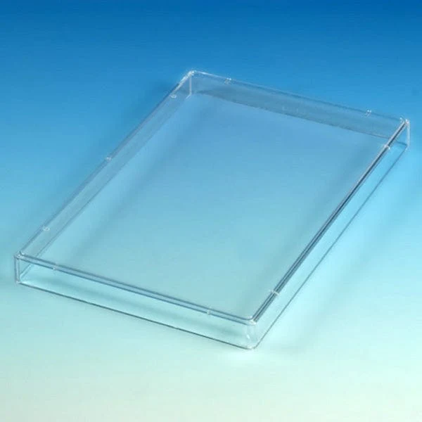 Globe Scientific Lid, for Microtitration Plates