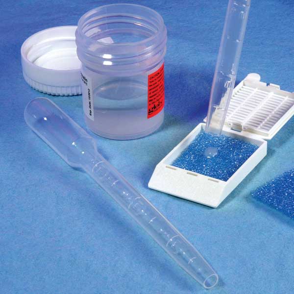 Wide Bore Large Bulb Transfer Pipet