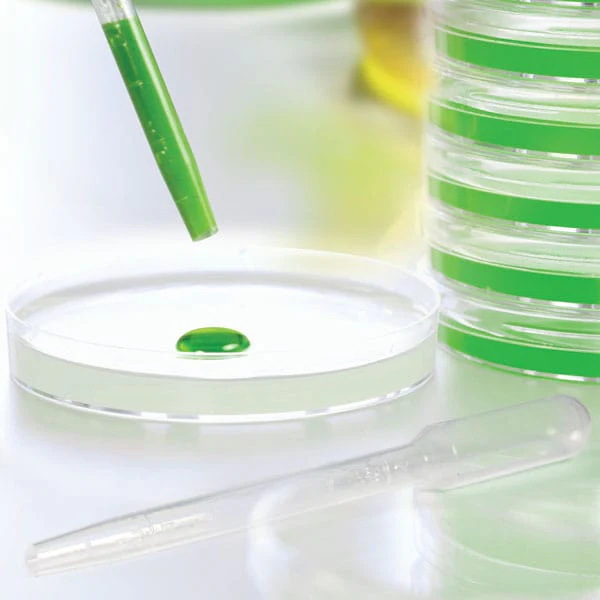 Wide Bore Large Bulb Transfer Pipet - Image 3