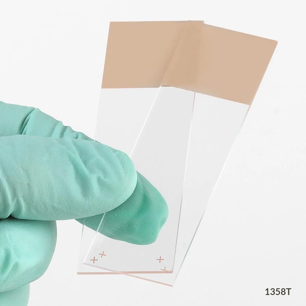 Globe Scientific Diamond Charged White Glass Microscope Slides w/90 degree Ground Edges - Available in Many Colors - Image 14