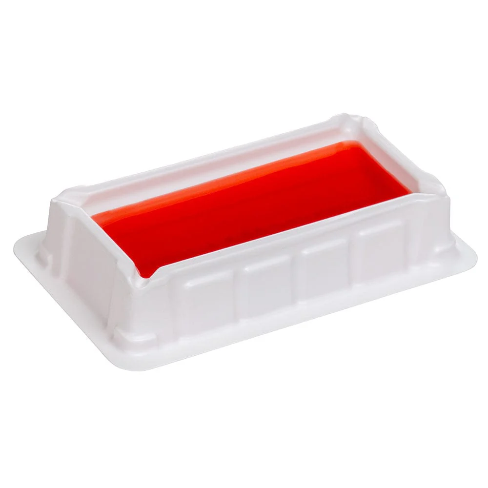 Globe Scientific Disposable Reagent Reservoir - Image 9