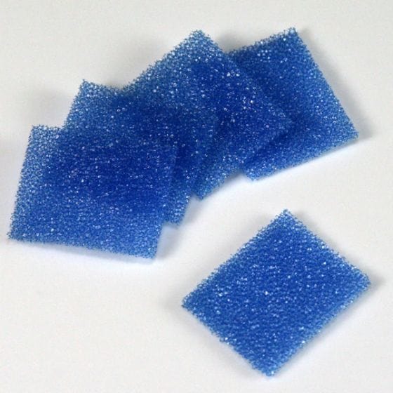 Globe Scientific Biopsy Pad for Cassettes, Foam, Blue, 30.2mm x 25.4mm x 2mm, 1000/Pack