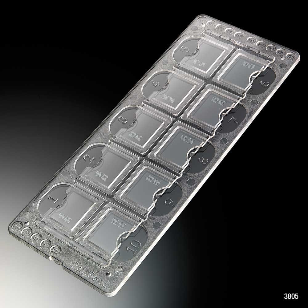 Globe Scientific Quick-Read Precision Grid Urinalysis Microscope Slide