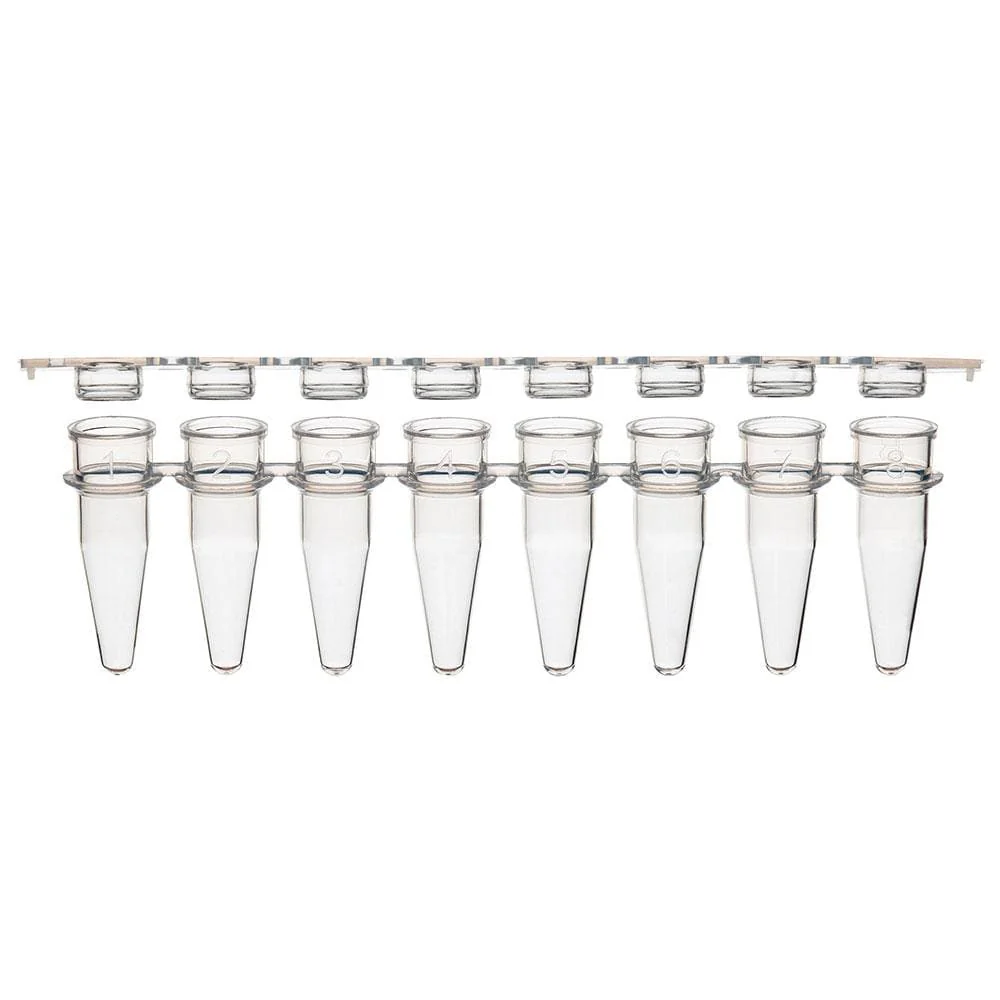 Globe Scientific Individual PCR Tube with Dome Cap, Clear - Image 10