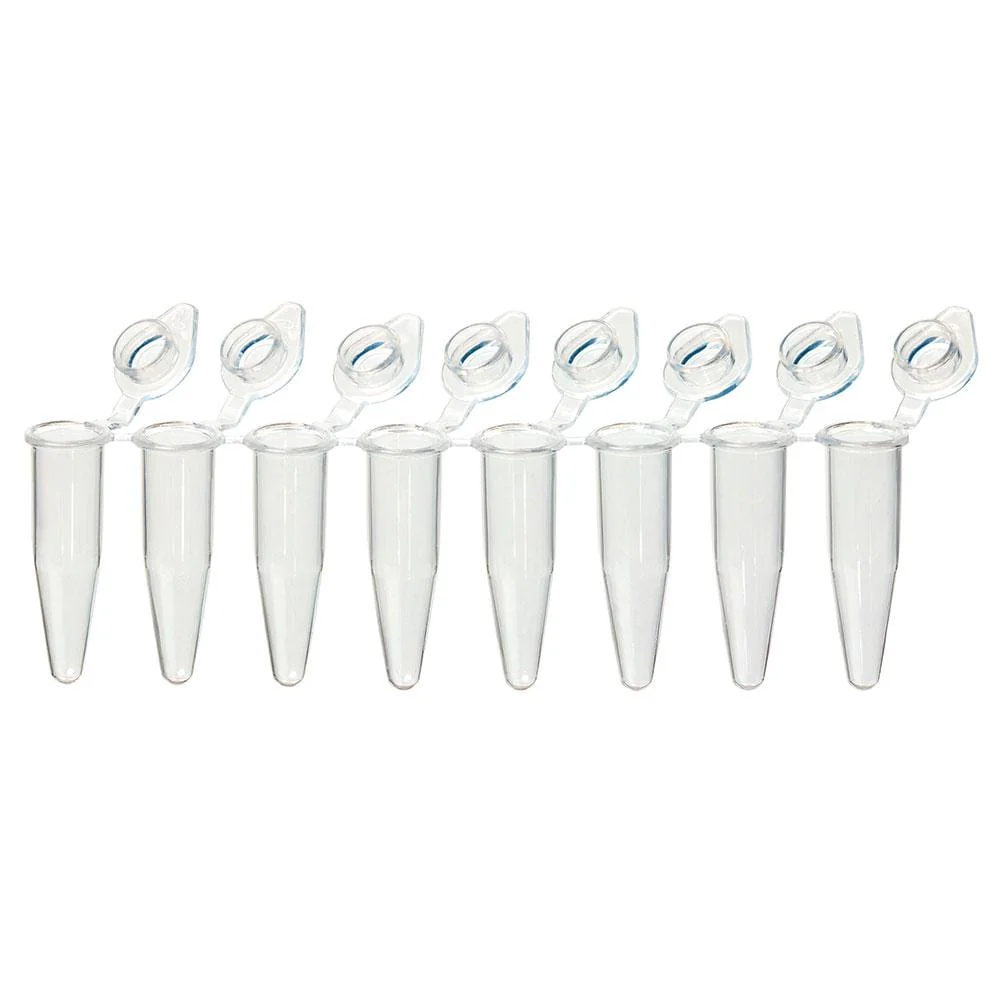 Globe Scientific Individual PCR Tube with Dome Cap, Clear - Image 7