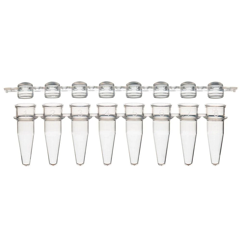 Globe Scientific Individual PCR Tube with Dome Cap, Clear - Image 9