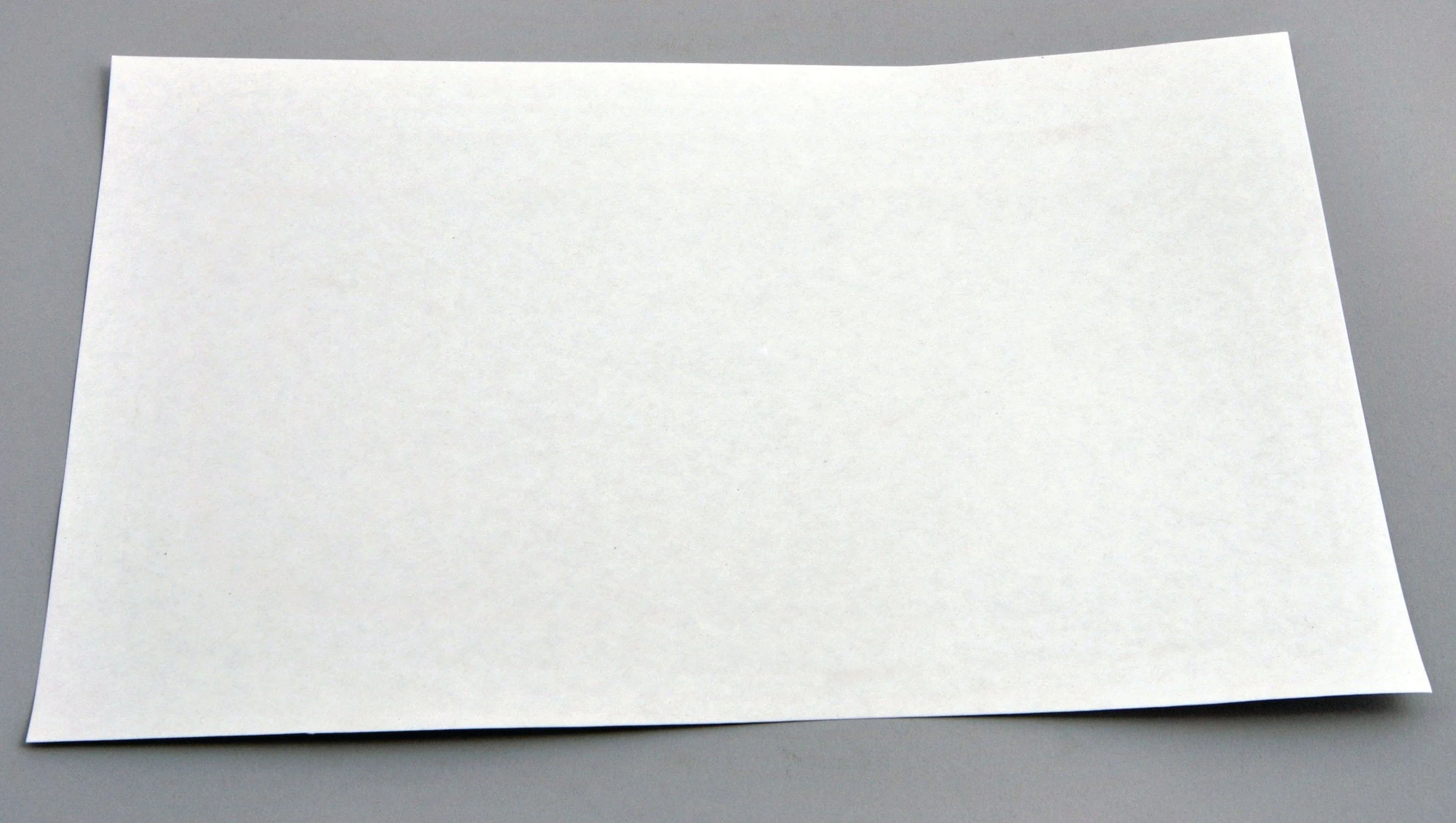 United Scientific™ FILTER PAPER, CIRCULAR - Image 2