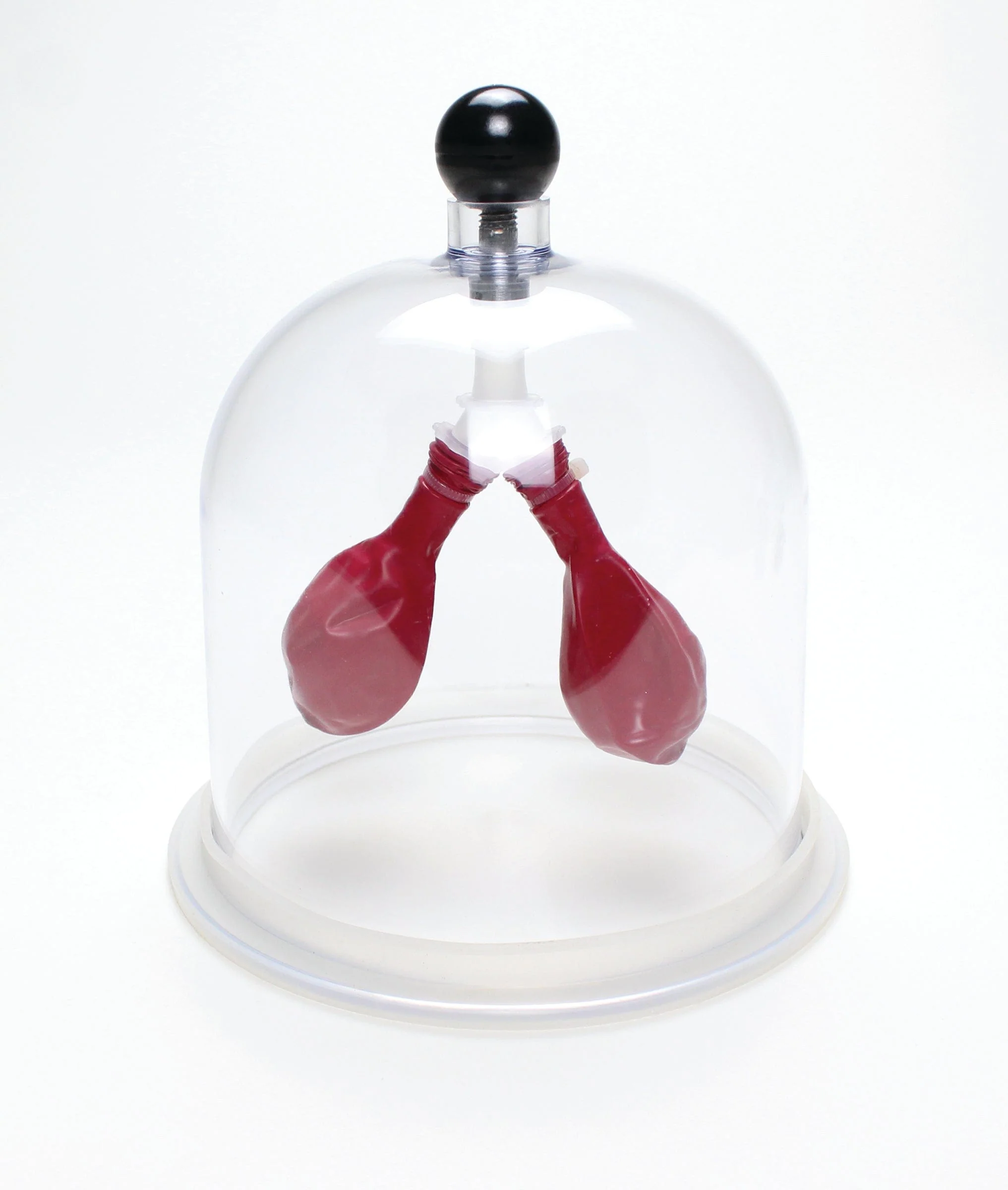 United Scientific Lung Apparatus