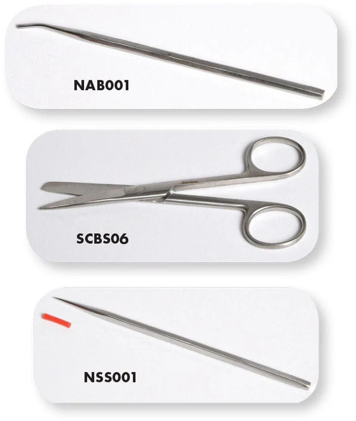 United Scientific™ TEASING NEEDLE