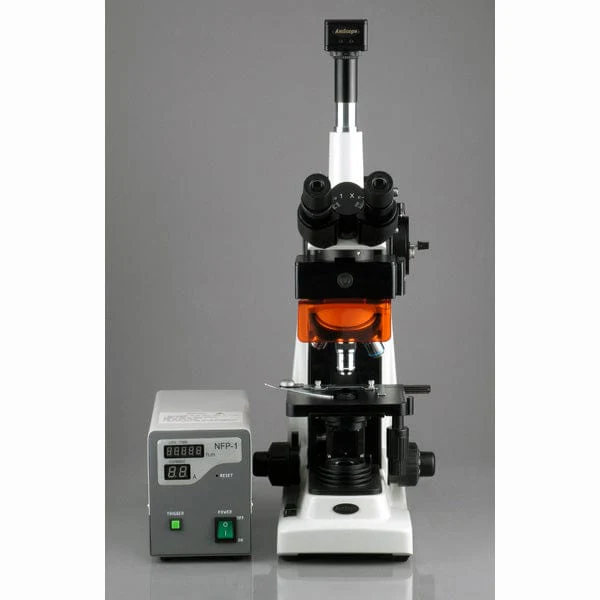 AmScope FM320 Series EPI Fluorescence Trinocular Compound Microscope 40X-1600X Magnification and 10MP Digital Camera - Image 4