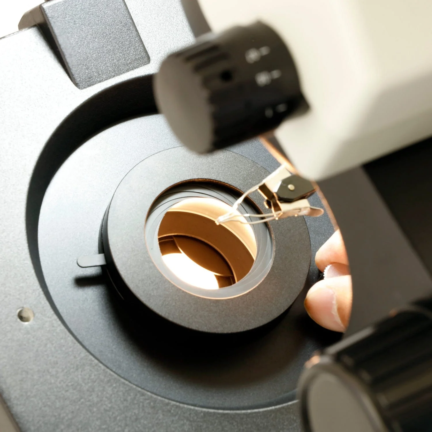AmScope GM400 Series Advanced Jewel Gem Zoom Trinocular Stereo Microscope 3.5X-90X Magnification on Track Stand - Image 9