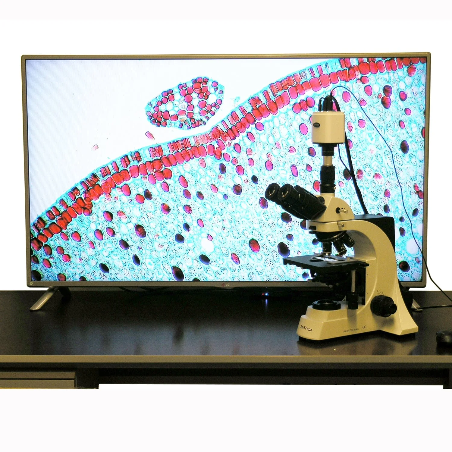 AmScope HD Series 1080p 60fps 2.0MP HDMI High-sensitivity Color CMOS C-mount Microscope Camera for Stand-alone and PC Imaging - Image 2