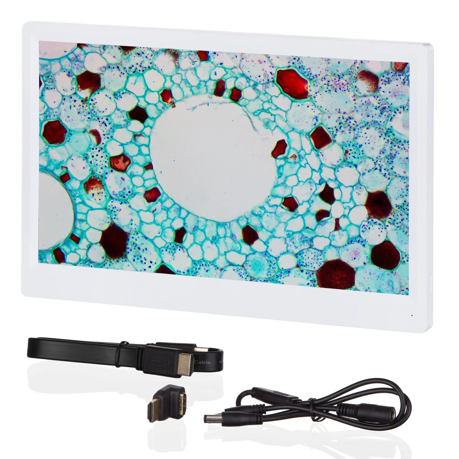 AmScope 1080p HDMI Monitor with Mounting Bracket for HD1080 and HD1080A Cameras - Image 3