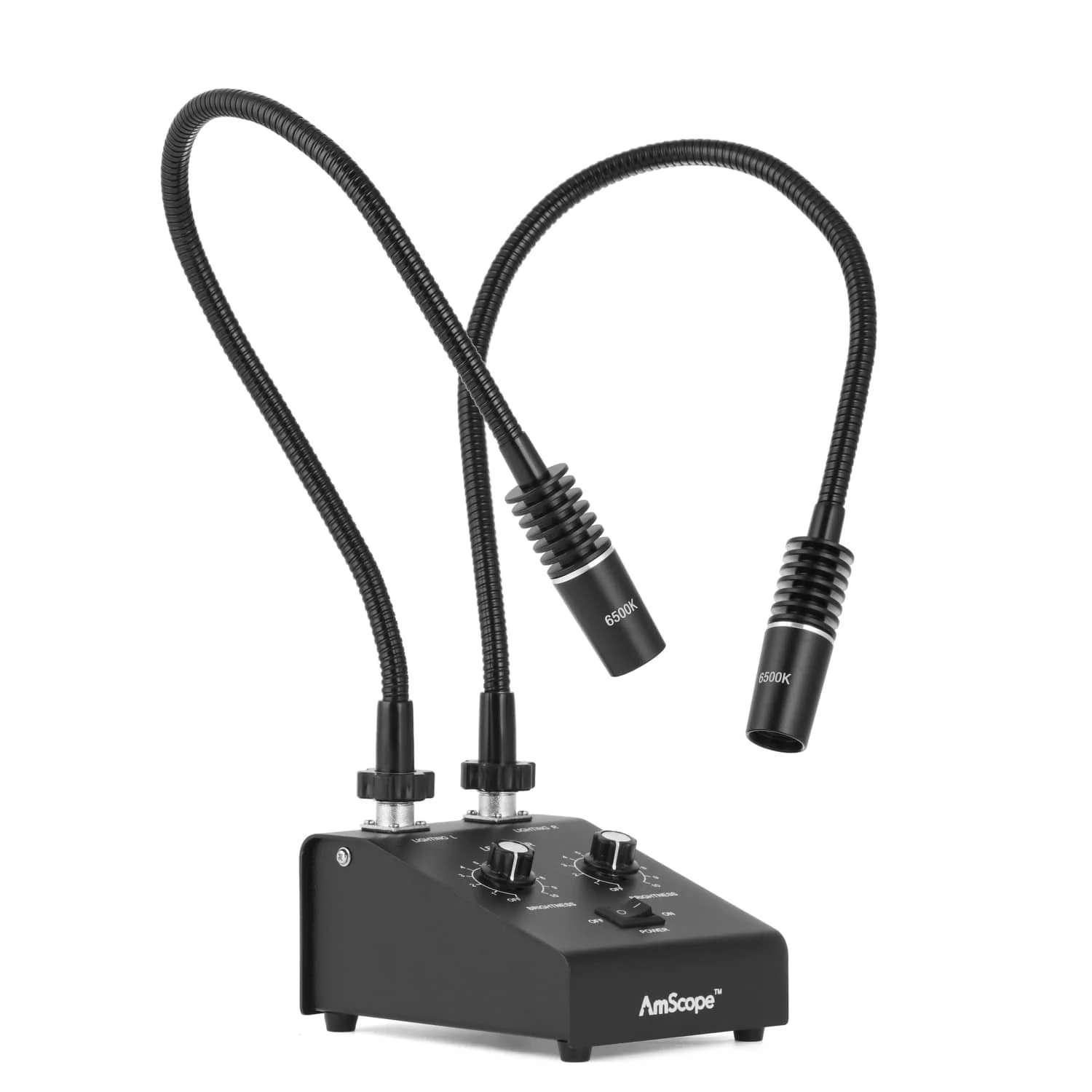 AmScope 6W LED Dual Gooseneck Illuminator with Dual Controls for Microscopes - Image 2